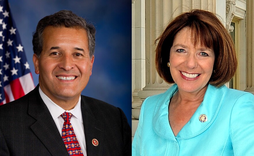From left, Rep. Juan Vargas, D-San Diego, and Rep. Susan Davis, D-San Diego are shown in this undated photo.