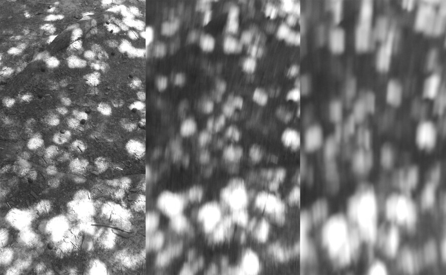 "There are many days when I ask myself, 'Was it worth it?' when, in those moments, I would give anything to be able to share one last goodbye."