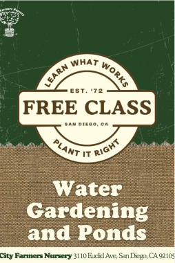 Water Gardening Basics