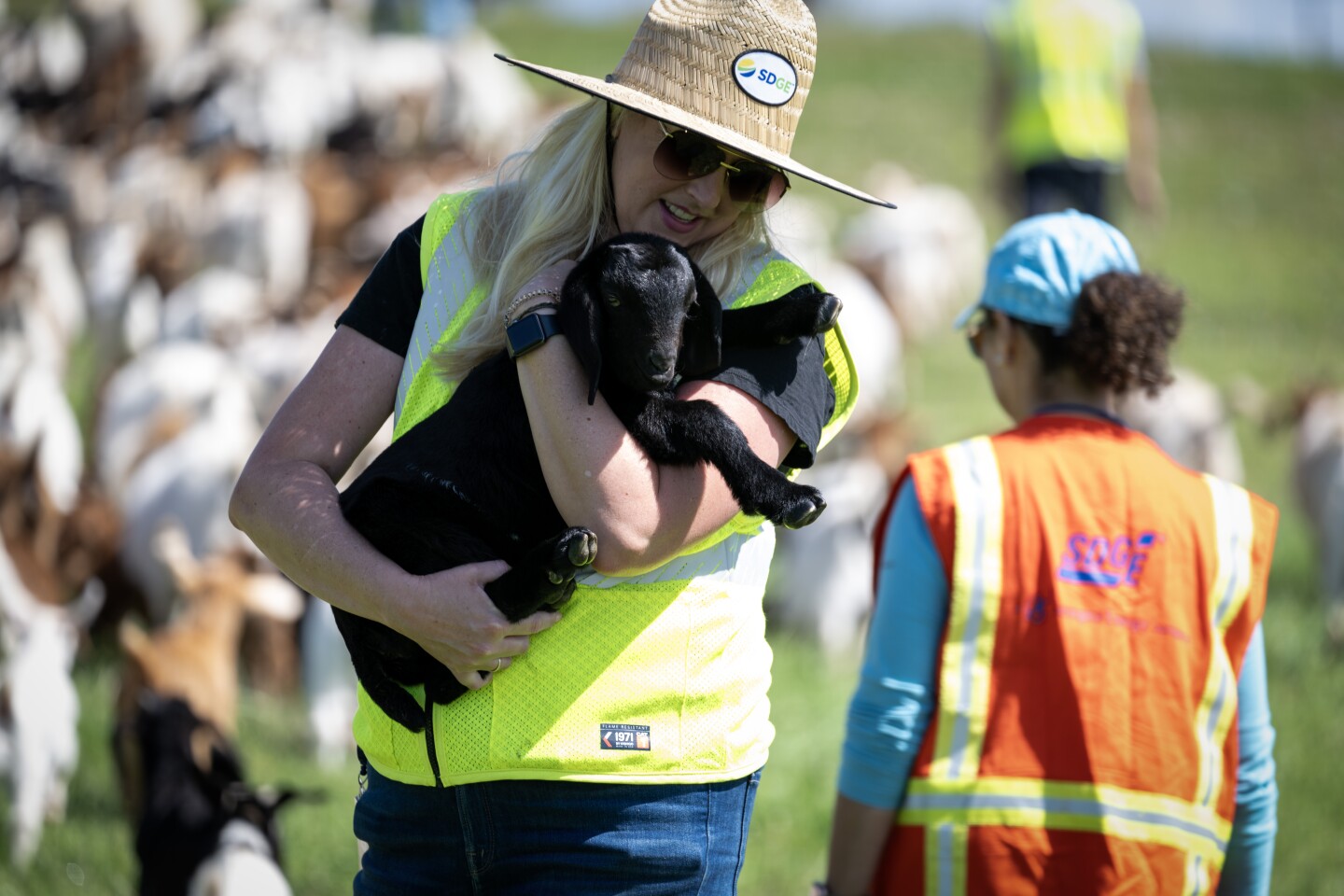 San Diego Fire-Rescue personnel holds a goat in Clairemont Mesa in this undated photo.