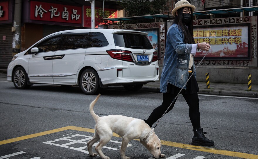 A resident walks a dog.
