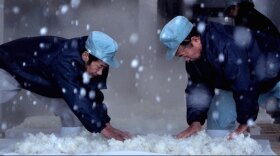 Yamamoto Toji and Chi-chan tending to cooked saké rice.