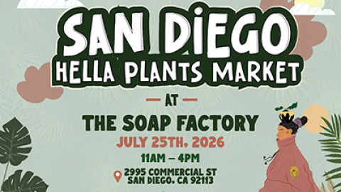 Hella Plants Market San Diego