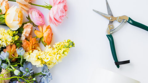 Flower Arranging 101 Workshop - Color Play Series