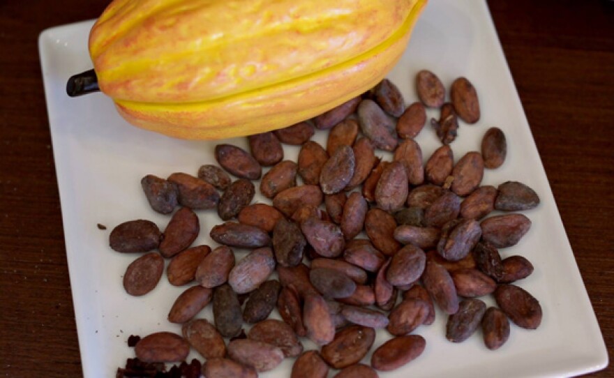 Cocoa beans