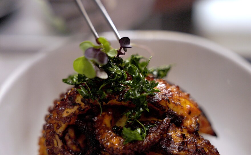 Octopus dish at Marea Alta seafood south of Rosarito.