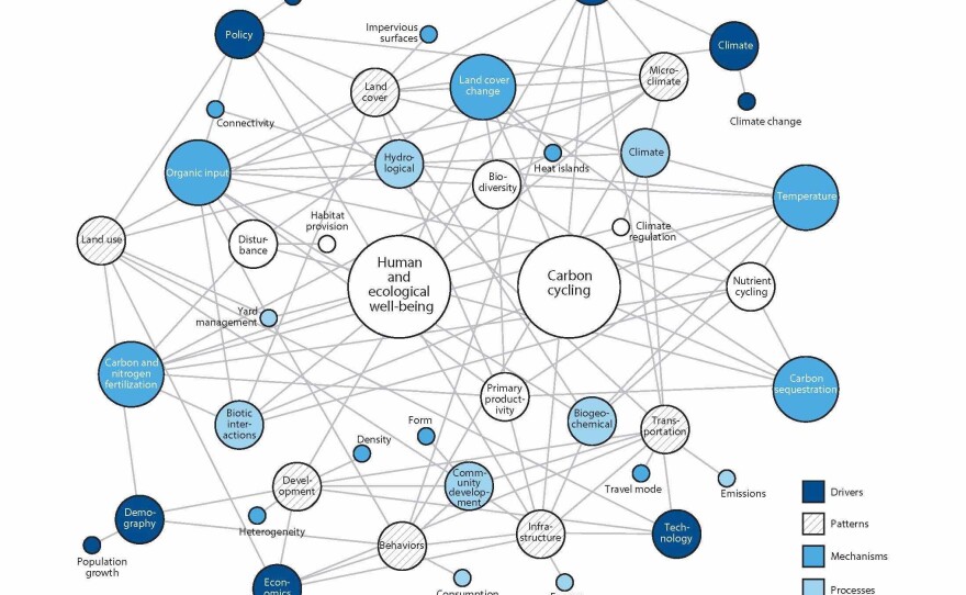 The complex "network structure" of natural and human interactions in urban ecosystems.