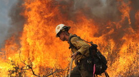 A firefighter monitors a fire in the suburb of Glendale on the outskirts of Los Angeles.