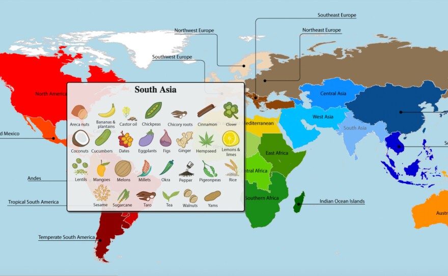 A new study reveals the full extent of globalization in our food supply. The researchers put together a series of interactives that visualize the results. Here's a screen grab, which shows crops that originate in South Asia.