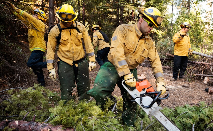 Members of the California National Guard's Task Force Rattlesnake clear brush and small trees to reduce the likelihood of a high-intensity wildfire.