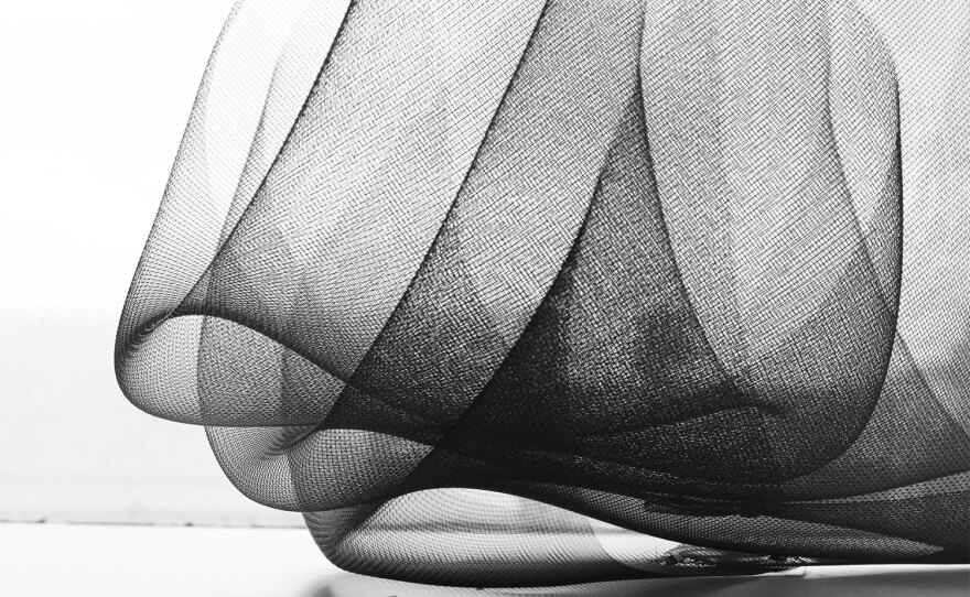 Mesh wire work by artist Jennifer Vargas in an undated photo.