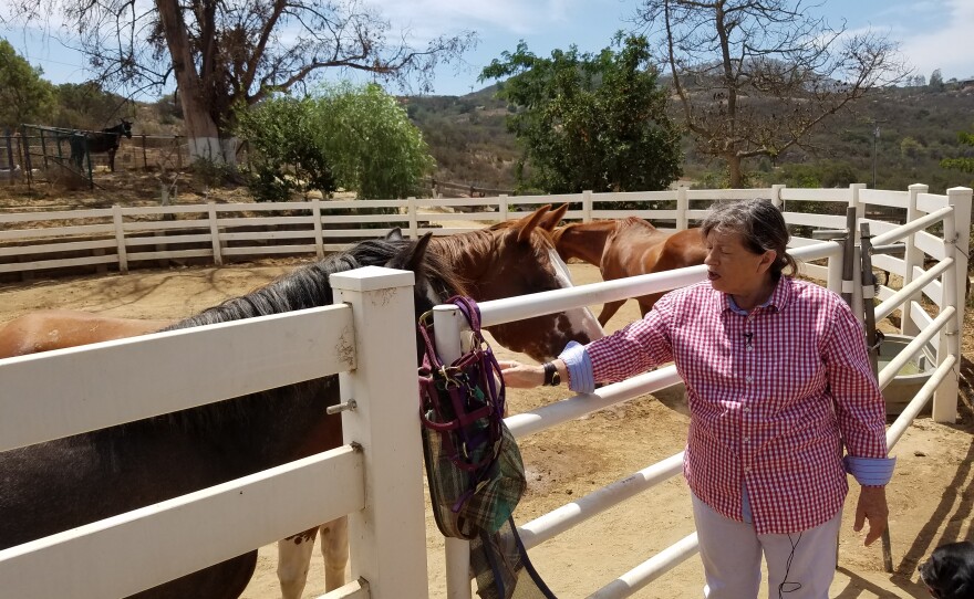 Gloria Collins says hello to some of the horses on her Ramona ranch, August 27, 2018.