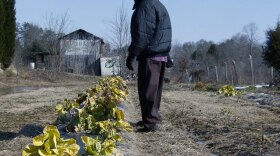Vern Switzer, 63, walks his fields in Rural Hall, N.C. Switzer has farmed 19 acres of land single-handedly for the past 30 years.