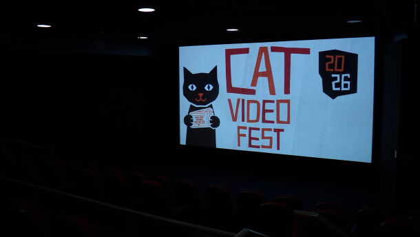 The logo for CatVideoFest 2026 is shown on the screen at the Digital Gym Cinema in downtown San Diego on Aug. 6, 2026.