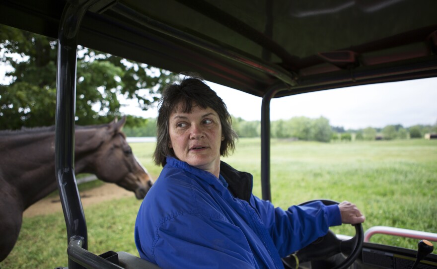 Racehorse rescue co-founder Beverly Strauss herds horses with the help of a golf cart. Since starting the organization in 2002, Strauss has found homes for more than 700 slaughter-bound thoroughbreds.