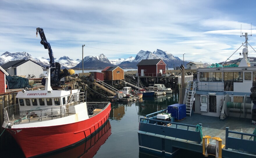 This photo was taken in Norway, the country where modern fish farming was invented. Best-selling author and lifelong fisherman Paul Greenberg sets out to answer the question “What fish should I eat that’s good for me and good for the planet?” As part of his quest to investigate the health of the ocean — and his own — Greenberg spends a year eating seafood at breakfast, lunch and dinner.