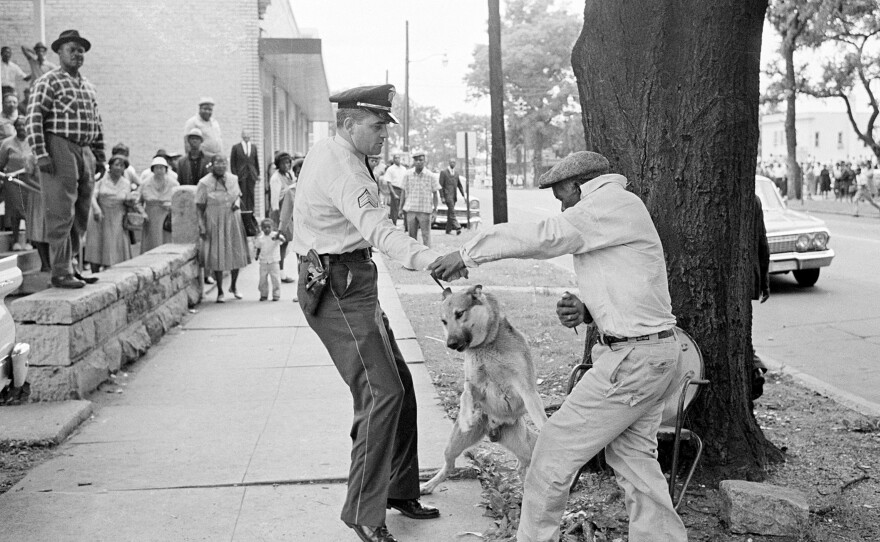 Alabama Segregationist Bull Connor ordered police to use dogs and fire hoses on black demonstrators in May 1963.