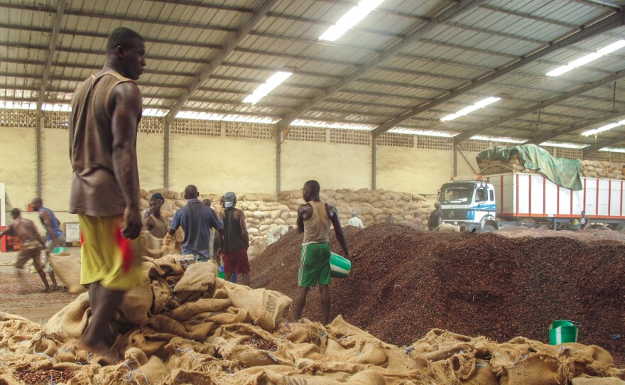 In a large warehouse in the south-western city of San Pedro, men empty sacks of cocoa in the stifling heat. Most processing plants in the city have closed, but some are buying cocoa on the sly.