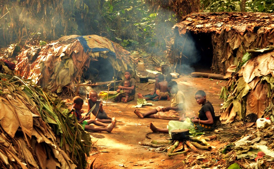 Researchers visited this Mbendjele camp in a forest in the Republic of Congo to talk to hunter-gatherers.