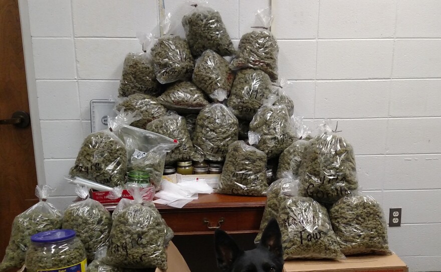 Sheriff's deputies in York County, Neb., arrested an elderly California couple who had approximately 60 pounds of marijuana in their vehicle.