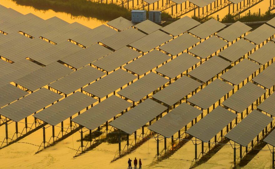 While new technologies can sound tempting as climate solutions, scientists say not all of them are available or scalable now. That's why scientists argue for mobilizing technologies that already exist and are affordable, like renewable energy.