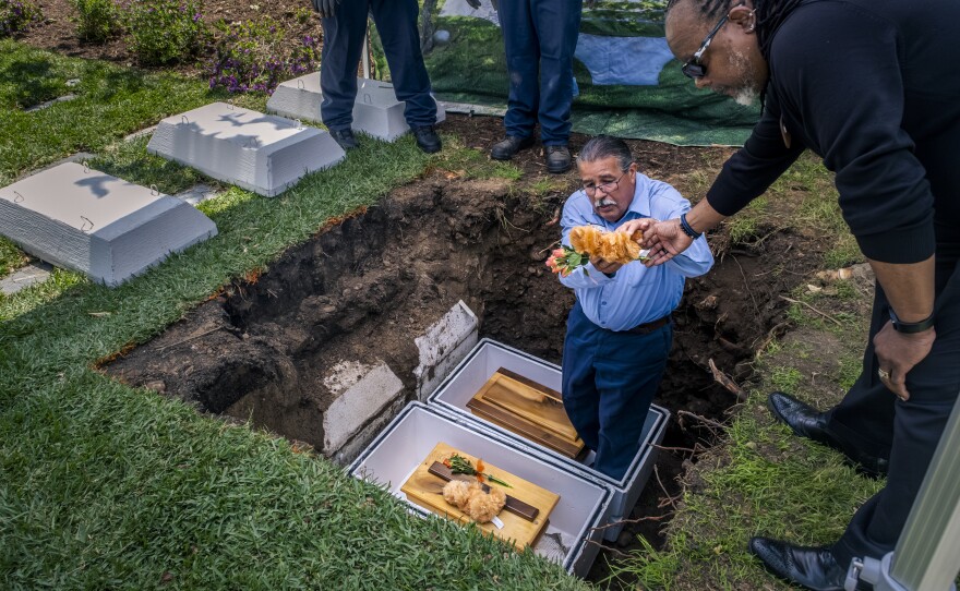 A worker at the El Camino Memorial Park Cemetary places a teddy bear in the grave of an abandoned child at the Garden of Innocence, San Diego, June 17, 2023.<br/>