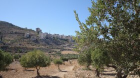 The historically Christian village of Al Ghassaniyeh, seen from olive groves at its foothills. After the old regime was ousted last December, displaced residents who returned to the village found strangers living in their homes.