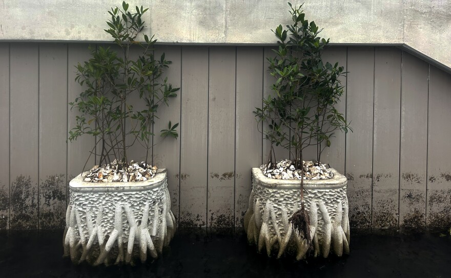 When it comes to improving the built environment, Keith Van de Riet says, "We have to look at these hybrid models." Incorporating parts of nature — like mangrove trees — into infrastructure.