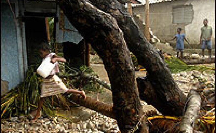 A Haitian woman jumps over a tree felled by Hurricane Dean on Sunday in Cayes-Jacmel, Haiti.