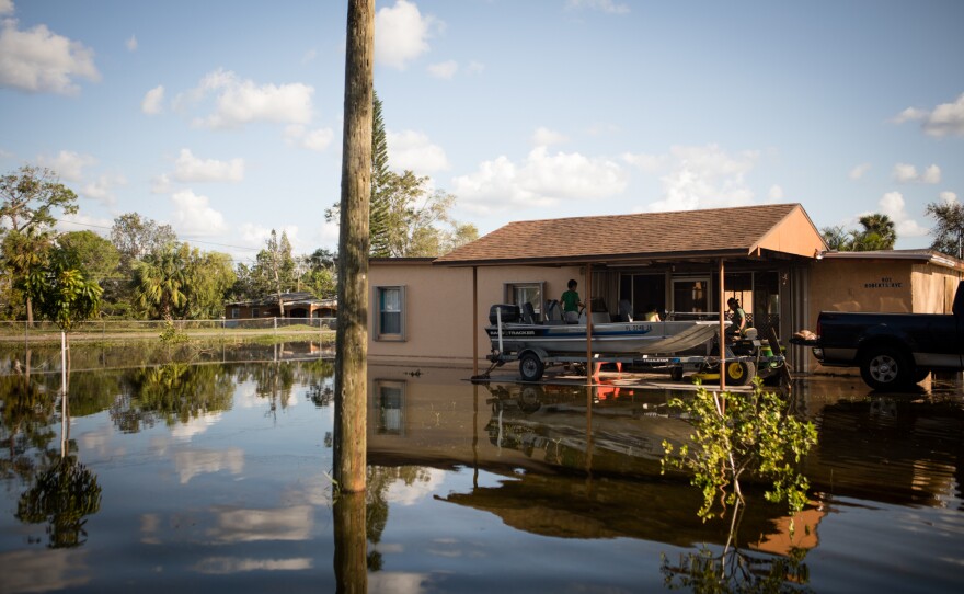 Flooding after Hurricane Irma sits on a property in Immokalee, Fla. Humid, warm environments, like Texas and Florida, can create a welcoming environment for mold and mildew, which are linked to allergies, asthma and other respiratory conditions.