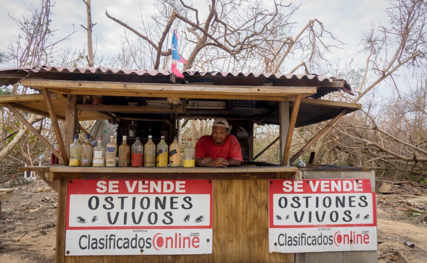 Edwin Delgado Rivera stands behind the counter of his oyster shack in Loiza, Puerto Rico, which sustained heavy damage by the destructive path of Hurricane Maria.