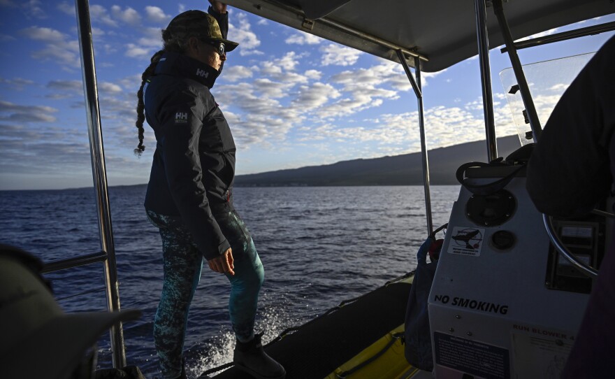 Captain Sarah Hakan of Ultimate Whale Watch tours looks for whales off the coast of Maui.