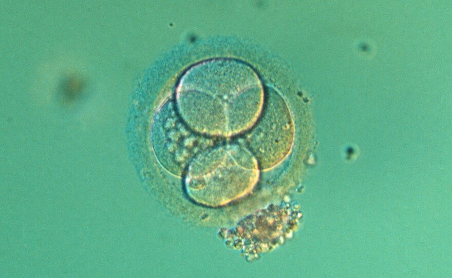 New guidance would ease restrictions on researching embryos in the lab.