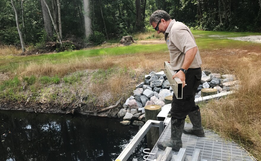 Chris Lowie, refuge manager at the Great Dismal Swamp National Wildlife Refuge, demonstrates how the newly installed water control structures work.