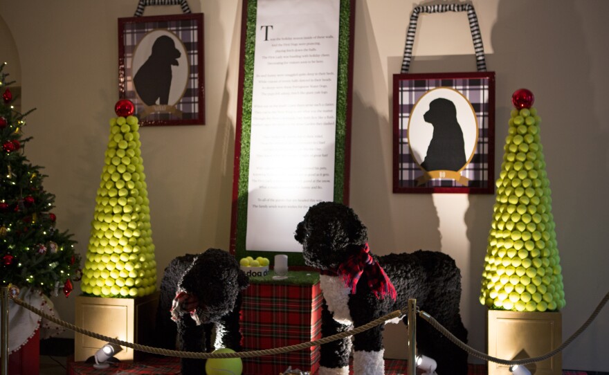 Large sculptures of Sunny and Bo made from yarn pom-poms are on display along with tennis ball topiaries in the East Garden room.