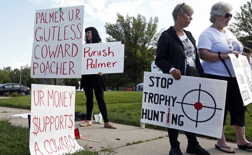Demonstrators gather outside the dental practice of Walter Palmer, who returned to his practice, Tuesday, Sept. 8, 2015, in Bloomington, Minn.