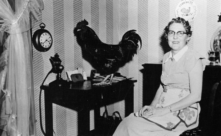 Florence Falk and a rooster are pictured in the 1950s at a table in the dining room where broadcasts of The Farmer's Wife originated.