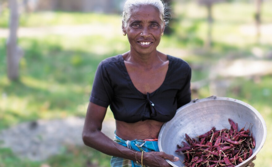 Sri Lankan Tamil cuisine derives its heat from the generous use of chillies both as dried chilli flakes as well as roasted and ground into curry powder.