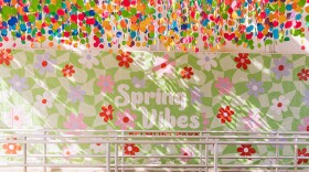 Spring vibes at Belmont Park