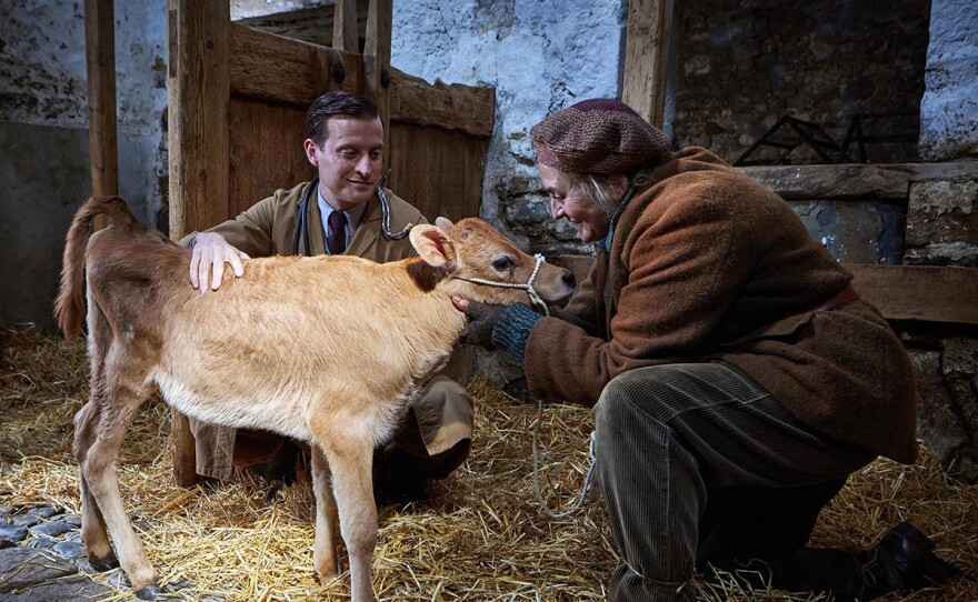 James Herriot (Nicholas Ralph) and Kate Billings (Lynda Rooke)