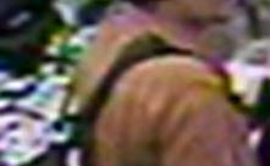 A photo of the suspect San Diego police say is responsible for attacks on four homeless men, two of which were fatal.