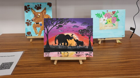 Acrylic Painting for Adults