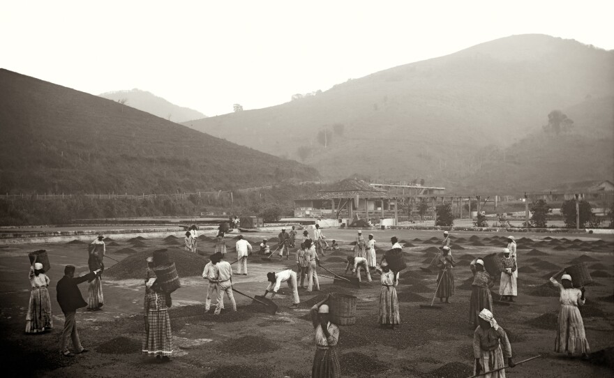 Slaves at a coffee yard in a farm. Vale do Paraiba, Sao Paulo, 1882.