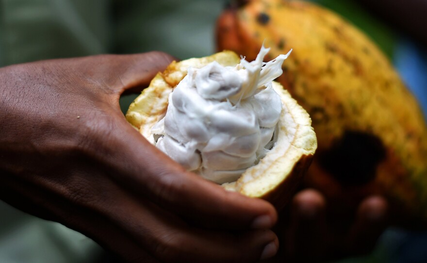 If Carl Manlan had $2 billion, he'd invest in building a cocoa plant in Ghana to create jobs.