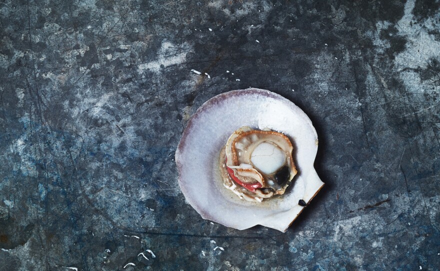 This dish features a scallop in its shell. Bivalves, like scallops are threatened by rising ocean acidification. Wist left it in the shell, so people would think of it "as an animal and not just a scallop on a plate."