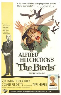 "The Birds"