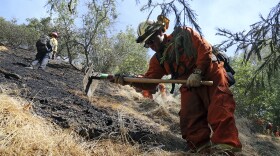 Firefighters clear burned and unburned brush from a hillside above Portola Drive after a wildfire broke out in the Benedict Canyon area of Los Angeles Tuesday, June 12, 2018. 