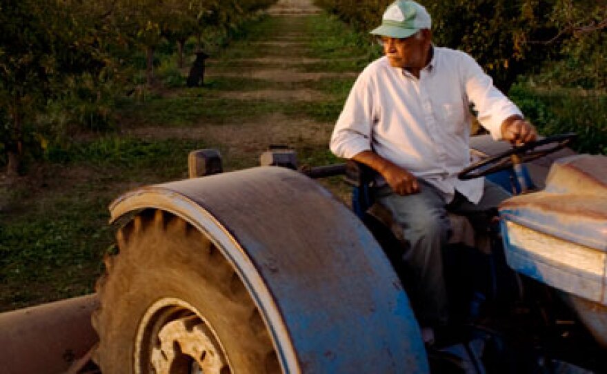 Khalid Saeed on farm.