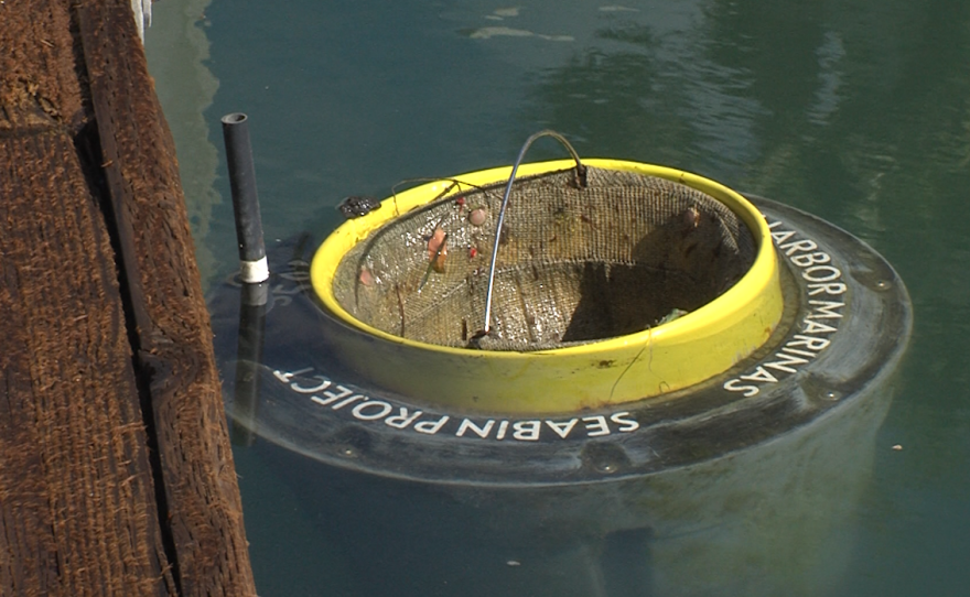 Seabin sits in the water at Cabrillo Isle Marina in San Diego on Nov. 9, 2017.