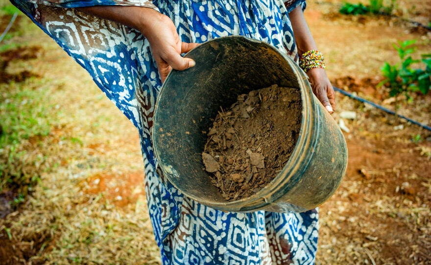 Plant matter, animal dung, ash, molasses or a banana and a pinch of yeast are ingredients that ferment to yield a bucket of bokashi fertilizer.